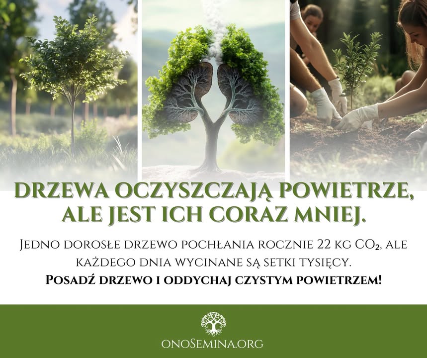 "Chaos i Zielona Przyszłość: Jak Natura w São Paulo Przypomina Nam o Prawdziwej Wartości Działań na Rzecz Ziemi" Czy to nie przypomina Ci, jak ważne jest działanie na rzecz Ziemi? W obliczu globalnych zmian klimatycznych, każda inicjatywa ma znaczenie. Twoja pomoc może uczynić różnicę! Zostań Strażniczką lub Strażnikiem Ziemi w onoSemina.org, by wspierać trwałe i zrównoważone działania, które poprawiają nasz świat. Odwiedź stronę Marii Bucardi, naszej założycielki: [Maria Bucardi](https://bucardimaria.com/o-mnie/) i przyłącz się do naszej misji. Możesz również wesprzeć naszą działalność poprzez darowizny: wyślij „Kiełki Nadziei” lub „Promienie Słońca” i pomóż zminimalizować skutki takich katastrof w przyszłości. Razem można zdziałać więcej! Dołącz do nas już teraz: [Zostań członkiem](https://onosemina.org/produkt-kategorie/zostan-czlonkiem-onosemina-org/) #ZielonaPrzyszłość #OchronaŚrodowiska #ZmianyKlimatyczne #WsparcieDlaZiemi #SãoPaulo #MariaBucardi